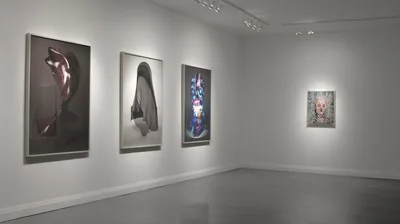 20121110 Alex Fischer Simulators Angell Gallery 05 Adobe Mask documentation.jpg